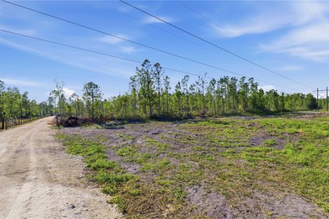 Land in Fort MC Coy, Florida № 2096676 - photo 18