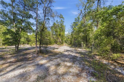 Land in Fort MC Coy, Florida № 2096676 - photo 19