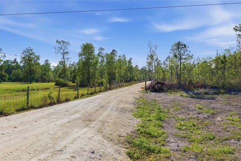 Land in Fort MC Coy, Florida № 2096676 - photo 13