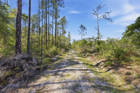 Land in Fort MC Coy, Florida № 2096676 - photo 12