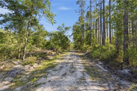 Land in Fort MC Coy, Florida № 2096676 - photo 4