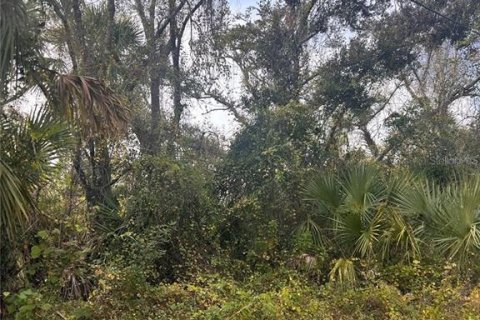 Land in North Port, Florida № 2162688 - photo 3