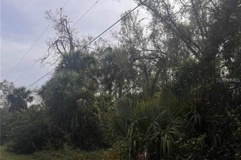 Land in North Port, Florida № 2162688 - photo 4