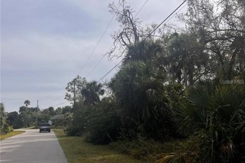 Land in North Port, Florida № 2162688