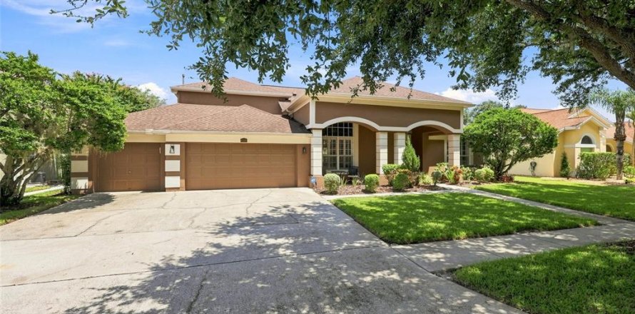 House in Tampa, Florida 4 bedrooms, 327.02 sq.m. № 2306145