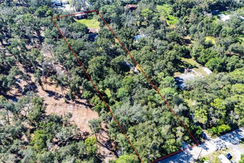 House in Zephyrhills, Florida 3 bedrooms, 179.86 sq.m. № 2431159 - photo 14