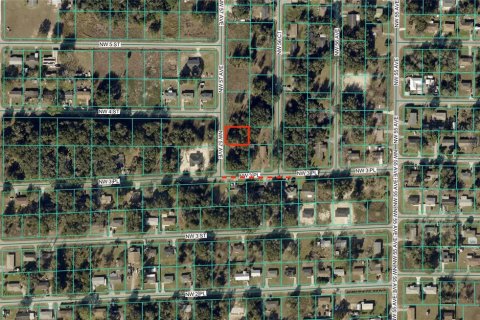 Land in Ocala, Florida № 2196377 - photo 3
