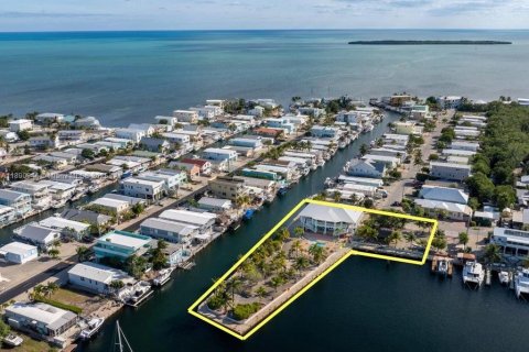 House in Tavernier, Florida 5 bedrooms, 325.07 sq.m. № 1944377 - photo 3