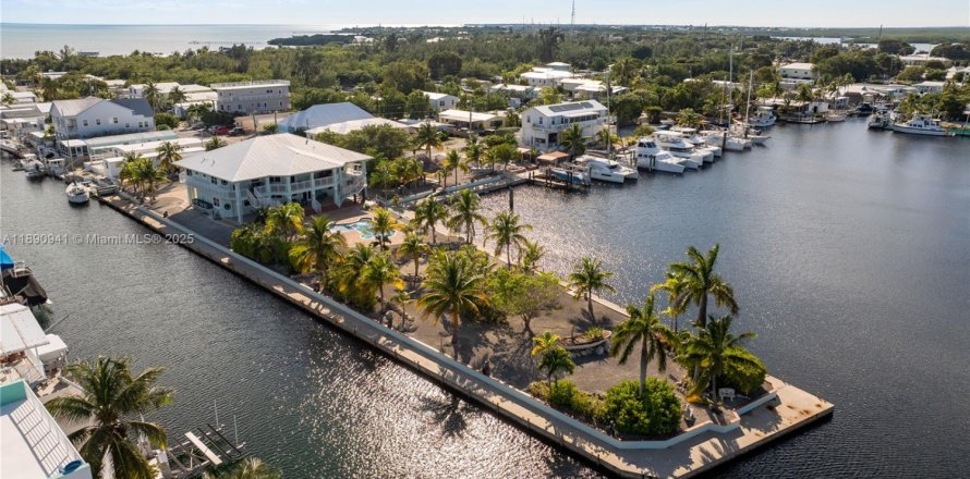 House in Tavernier, Florida 5 bedrooms, 325.07 sq.m. № 1944377