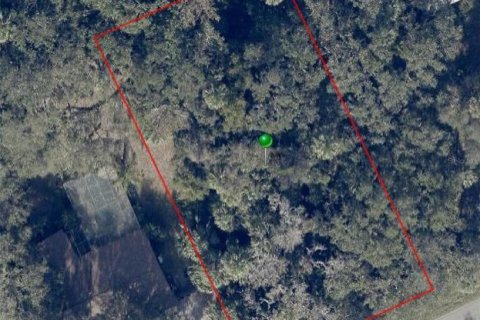 Land in DeBary, Florida № 1511794 - photo 1