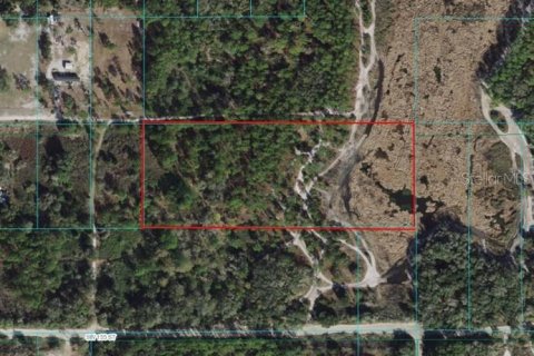 Land in Dunnellon, Florida № 1110611 - photo 1