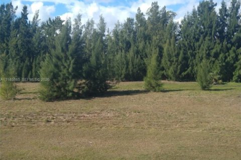 Condo in Hallandale Beach, Florida, 1 bedroom  № 2004939 - photo 19