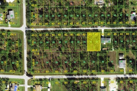 Land in Punta Gorda, Florida № 2217505 - photo 3