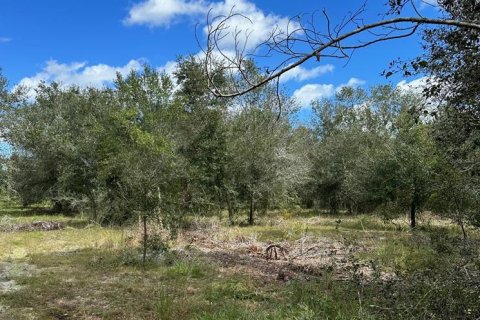 Terrain à vendre à Arcadia, Floride № 2201603 - photo 4