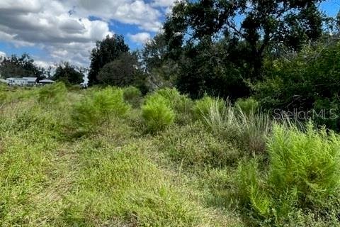 Terrain à vendre à Arcadia, Floride № 2201603 - photo 5