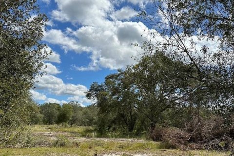 Terrain à vendre à Arcadia, Floride № 2201603 - photo 3