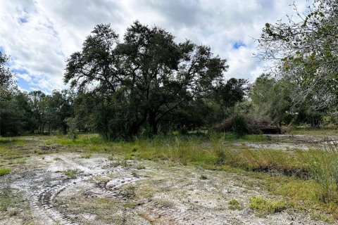 Terrain à vendre à Arcadia, Floride № 2201603 - photo 2