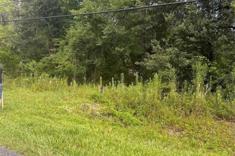Terreno en venta en Gainesville, Florida № 1279948 - foto 2
