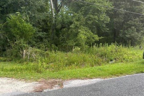 Terreno en venta en Gainesville, Florida № 1279948 - foto 3
