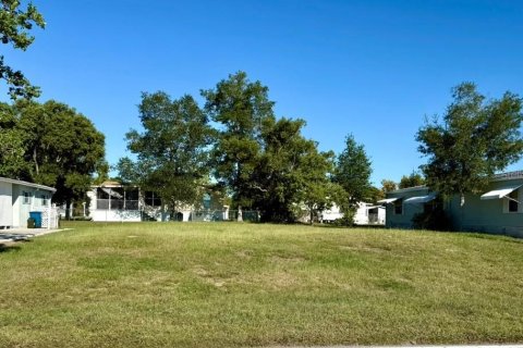 Terrain à Brooksville, Floride № 2387733