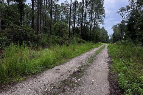 Land in Citra, Florida № 2159017 - photo 2
