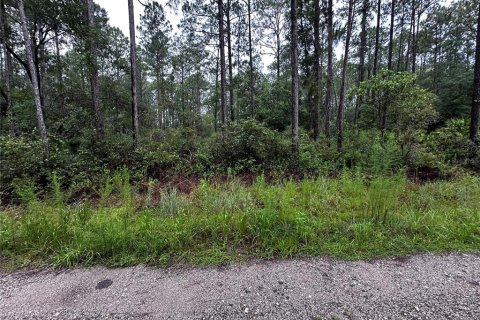 Land in Citra, Florida № 2159017 - photo 3