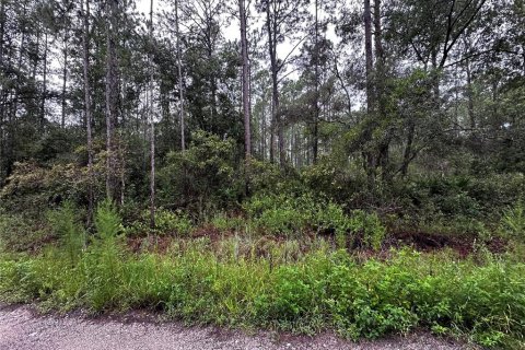 Land in Citra, Florida № 2159017