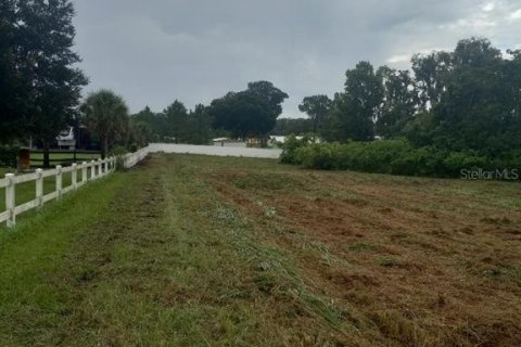Terreno en venta en Plant City, Florida № 214193 - foto 5