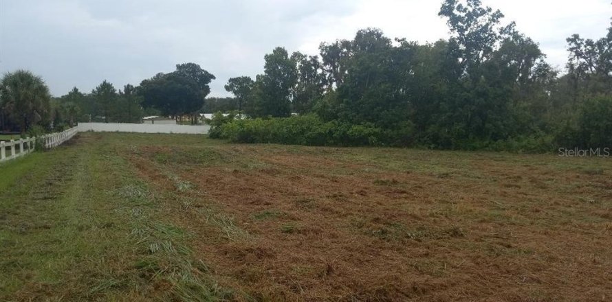 Terreno en Plant City, Florida № 214193