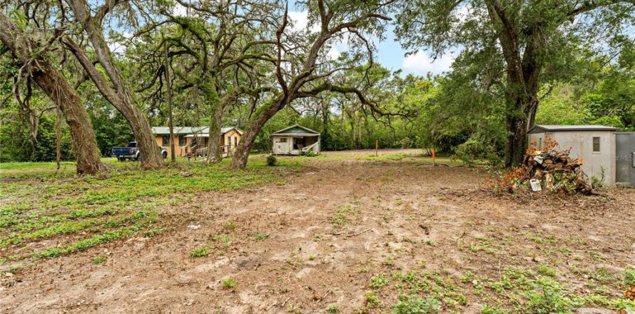 Land in Zephyrhills, Florida № 2206010