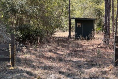 Terreno en venta en Georgetown, Florida № 2109111 - foto 6