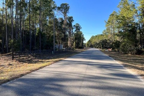 Terreno en venta en Georgetown, Florida № 2109111 - foto 5