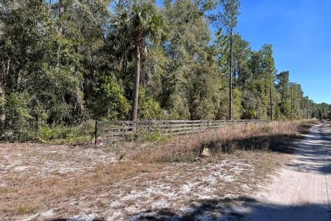 Terreno en venta en Georgetown, Florida № 2109111 - foto 14