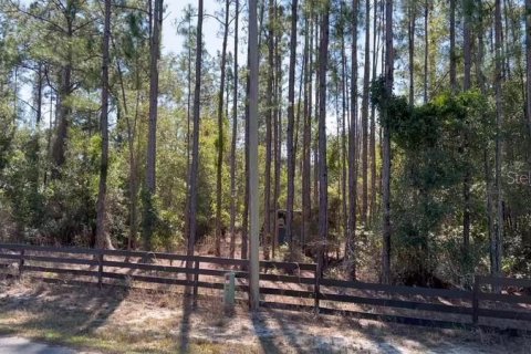 Terreno en venta en Georgetown, Florida № 2109111 - foto 12