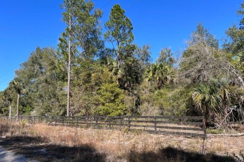 Terreno en venta en Georgetown, Florida № 2109111 - foto 15