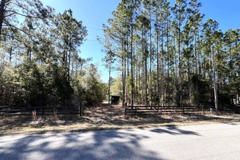 Terreno en venta en Georgetown, Florida № 2109111 - foto 2