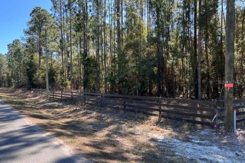 Terreno en venta en Georgetown, Florida № 2109111 - foto 13
