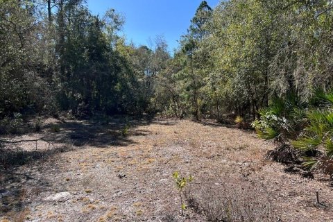 Terreno en venta en Georgetown, Florida № 2109111 - foto 10