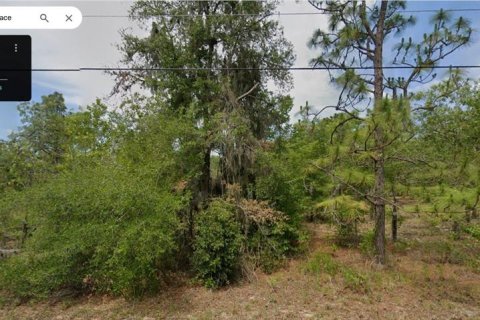 Terreno en Dunnellon, Florida № 2229028