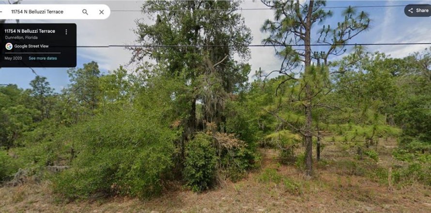 Terrain à Dunnellon, Floride № 2229028