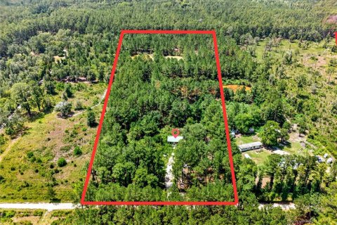 Terrain à Citra, Floride № 2202411