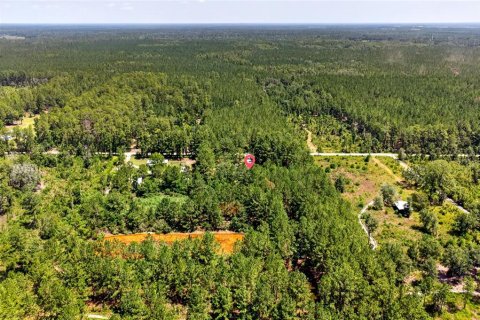Land in Citra, Florida № 2202411 - photo 6