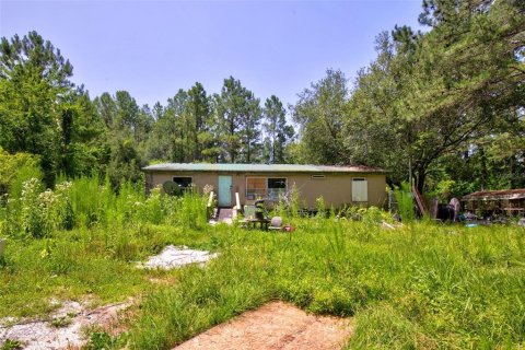 Land in Citra, Florida № 2202411 - photo 3