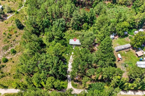 Land in Citra, Florida № 2202411 - photo 2