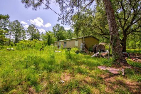 Land in Citra, Florida № 2202411 - photo 4