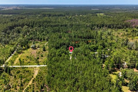 Land in Citra, Florida № 2202411 - photo 9