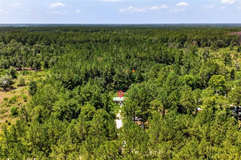 Land in Citra, Florida № 2202411 - photo 8