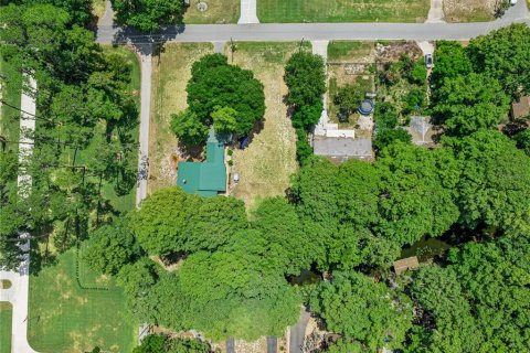 Land in Tavares, Florida № 2147939 - photo 11