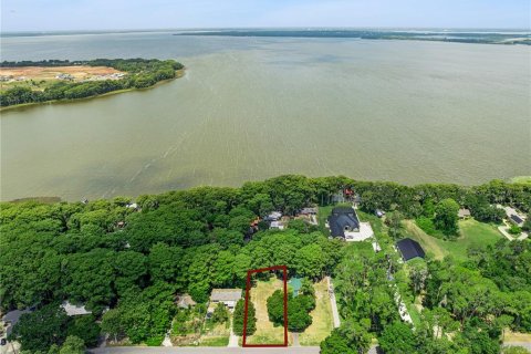 Land in Tavares, Florida № 2147939 - photo 10