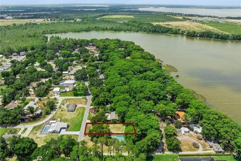 Land in Tavares, Florida № 2147939 - photo 17